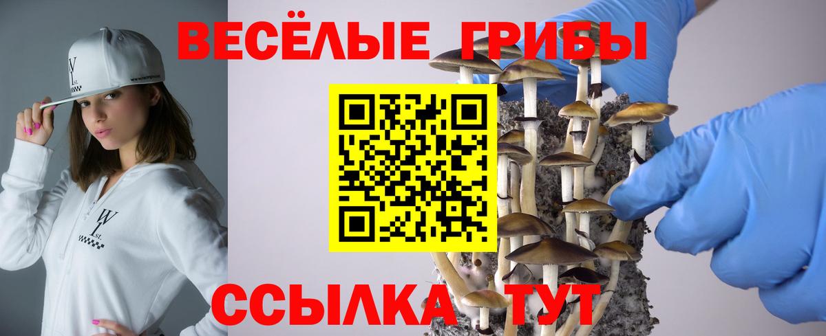 Псилоцибиновые грибы мицелий  Вход с VPN  Галлюциногенные грибы Magic Shrooms  Тулун 
